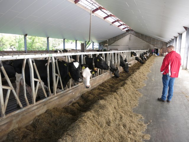 HWK Wekerom023.jpg